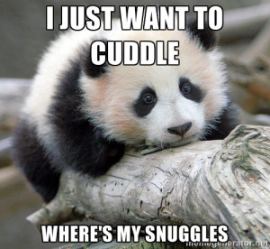 sad panda - I just want to cuddle Where's my snuggles