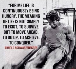 conquer quotes conquer quotes