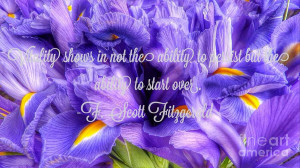 Iris Flower Quote Photograph