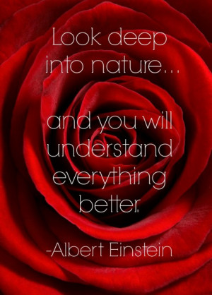 Study nature, love nature, stay close to nature. It will never fail ...