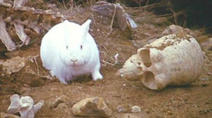 The Beast of Caerbannog from Monty Python and the Holy Grail