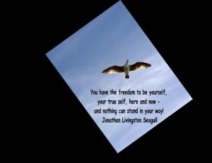 jonathan-livingston-seagull