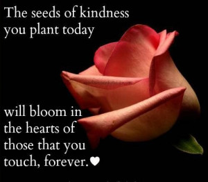Quotes about seeds of kindness you plant today