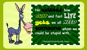 Good Thoughtful Sayings About Life With Donkey Pictures