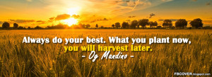 ... best, what you plant now, you will harvest later. - Quotes FB Cover