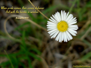 Bible Verse Wallpapers Download