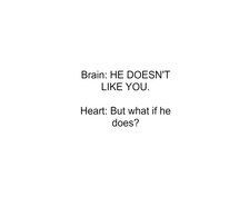 brain, confused, crush, heart, love, quote, rejection, sad, text, what ...