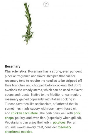 Rosemary herbs and spices identification