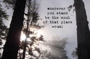 Wherever you stand be the soul of that place. - Rumi