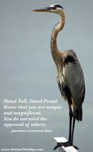 Stand Tall , Stand Proud .