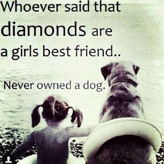 love my Olde English Bulldog* #bulldogs #friendships