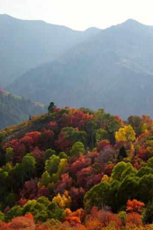 Mountain, Fall Beautiful, Great Smoky Mountain, Mountain In The Fall ...