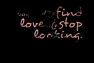 Stop Searching For Love Quotes