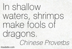 In Shallow Waters Shrimps Make Fools Of Dragons - Chinese Proverbs
