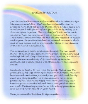 Rainbow Bridge Poem Print Version | The Rainbow Bridge Poem - Karluk ...