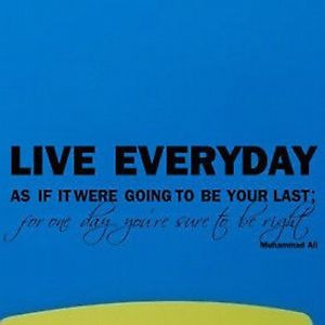 ... LIVE EVERYDAY... COOL QUOTE WALL ART DECAL STICKERS VINYL ROOM BEDROOM