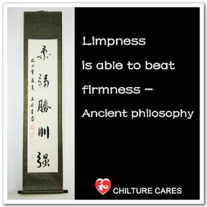 Martial Arts Quotes Chinese Calligraphy Wall Scroll