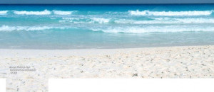 About: Facebook cover with picture of white sand beach