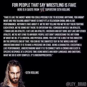 WWE Seth Rollins (of The Shield) Quote