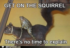 funny captions get on the squirrel theres no time to explain jpg