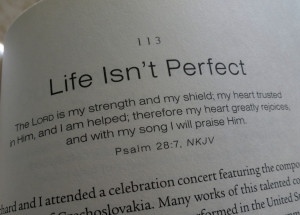 Life Isn Perfect Quotes