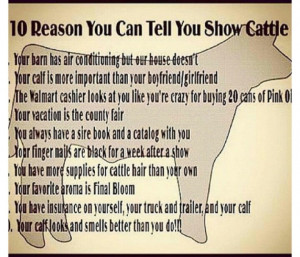 Its official, I show cattle!