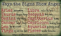 ... capricorn aquarius horoscope Zodiac Signs zodiac sign shitt the signs