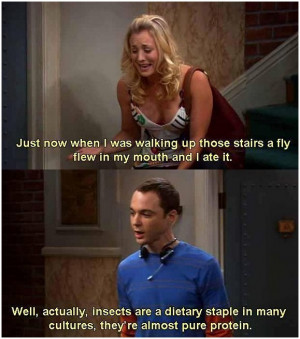 posted in pop culture tagged big bang theory quotes penny from the big ...