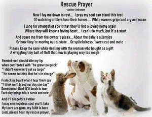 ... animals in the world please rescue an animal rather than buying one