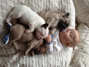 Dogs And Animals Bonding With Babies! Seriously Cute Compilation Video ...