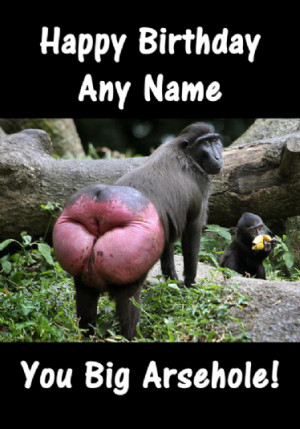 ... Monkeys Bum Funny Insulting & Offensive Personalised Birthday Card