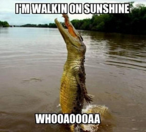 walking on sunshine, whoa oh, funny pictures