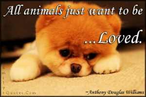 All animals just want to be loved.