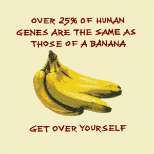 Amazing Banana Facts Showing How It Cures Everything