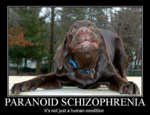 ... paranoid schizophrenia source http car memes com schizophrenia quotes