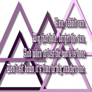 pink floyd lyrics quotes