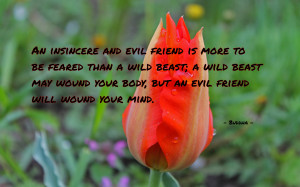 ... insincere and evil friend is more to be feared than a quote wallpaper