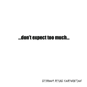 Don't Expect Too Much / The Point [single] 2011 cover art
