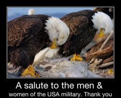 ... veteran and my brother a gulf war veteran remember to thank a veteran