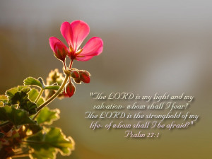 The LORD is my light and my salvation; whom shall I fear. the LORD is ...