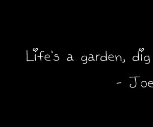 text wall quotes daniel ilabaca 1440x1080 wallpaper Abstract Text HD