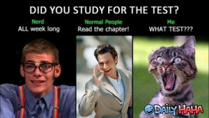 Did_You_Study_funny_picture