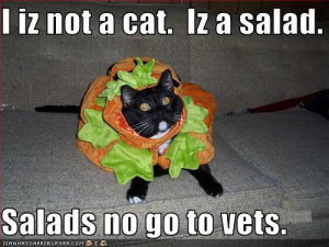 Some things just don't go well in a salad. Cats would be included in ...