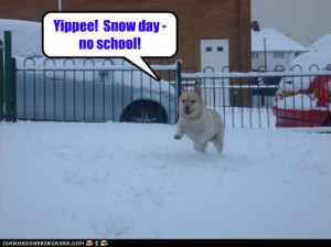 Are you as excited about your snow day as this little dog? You should ...