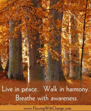 Live in peace and walk in harmony quote via www.FlowingwithChange.com
