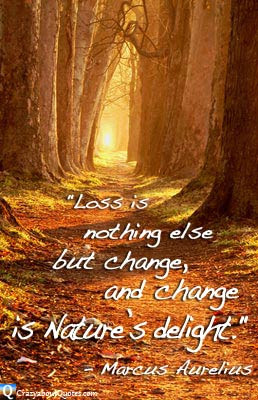 Copyright © 2015, Like Success, All rights reserved. Privacy, Terms ...