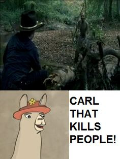 lol Llamas with Hats meets The Walking Dead More