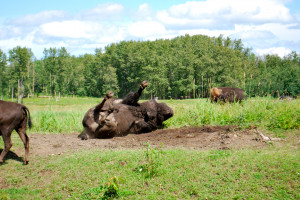 Picture Poetry With Encouraging Quotes