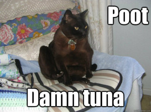 poot damn tuna - Farting Cat