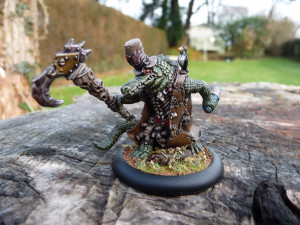 Thread: Chris_Tzeentch Does Blindwater Congregation - well sort of...